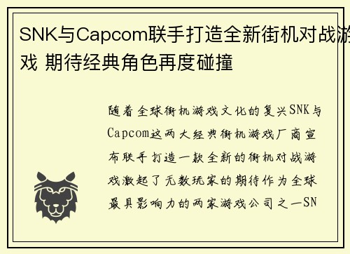SNK与Capcom联手打造全新街机对战游戏 期待经典角色再度碰撞